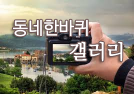 에디터 이미지